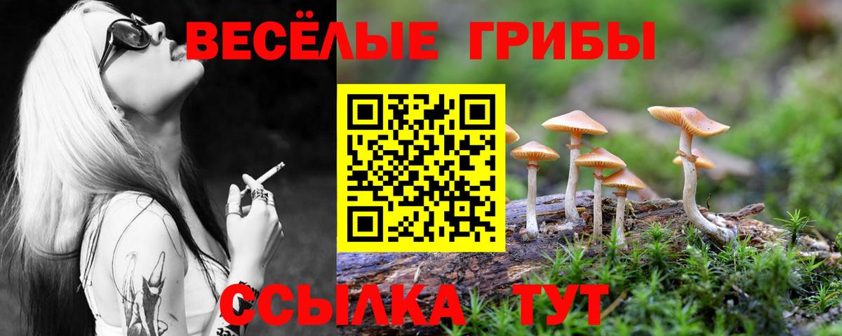 Галлюциногенные грибы Psilocybe  Псилоцибиновые грибы прущие грибы  Вход с VPN  Краснодар 
